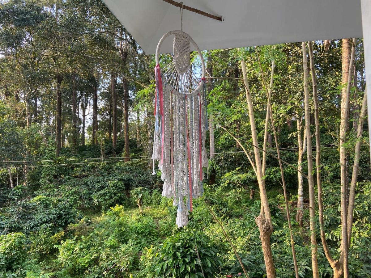 Ammus Homestay Thekkady Extérieur photo